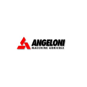 angeloni logo